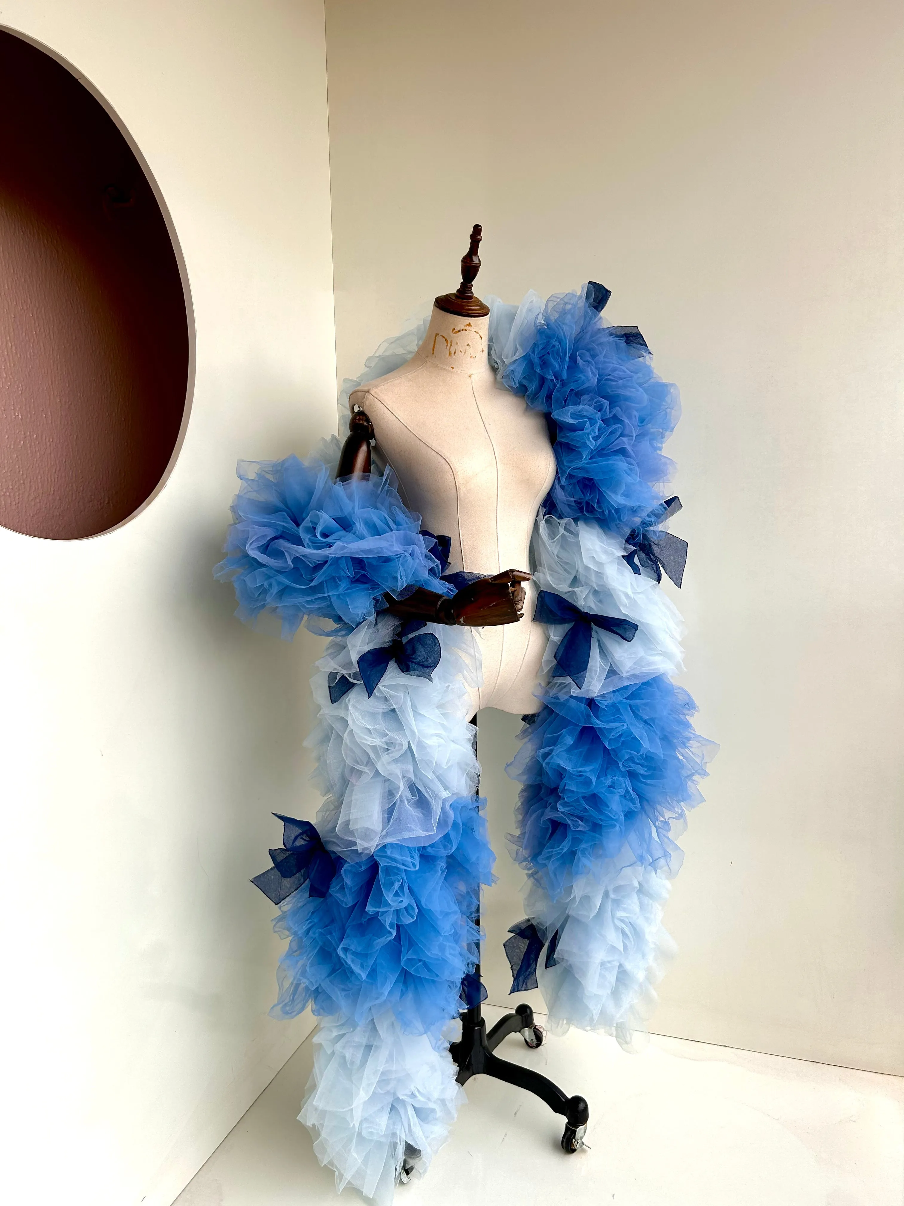 Swan Ballet Boa