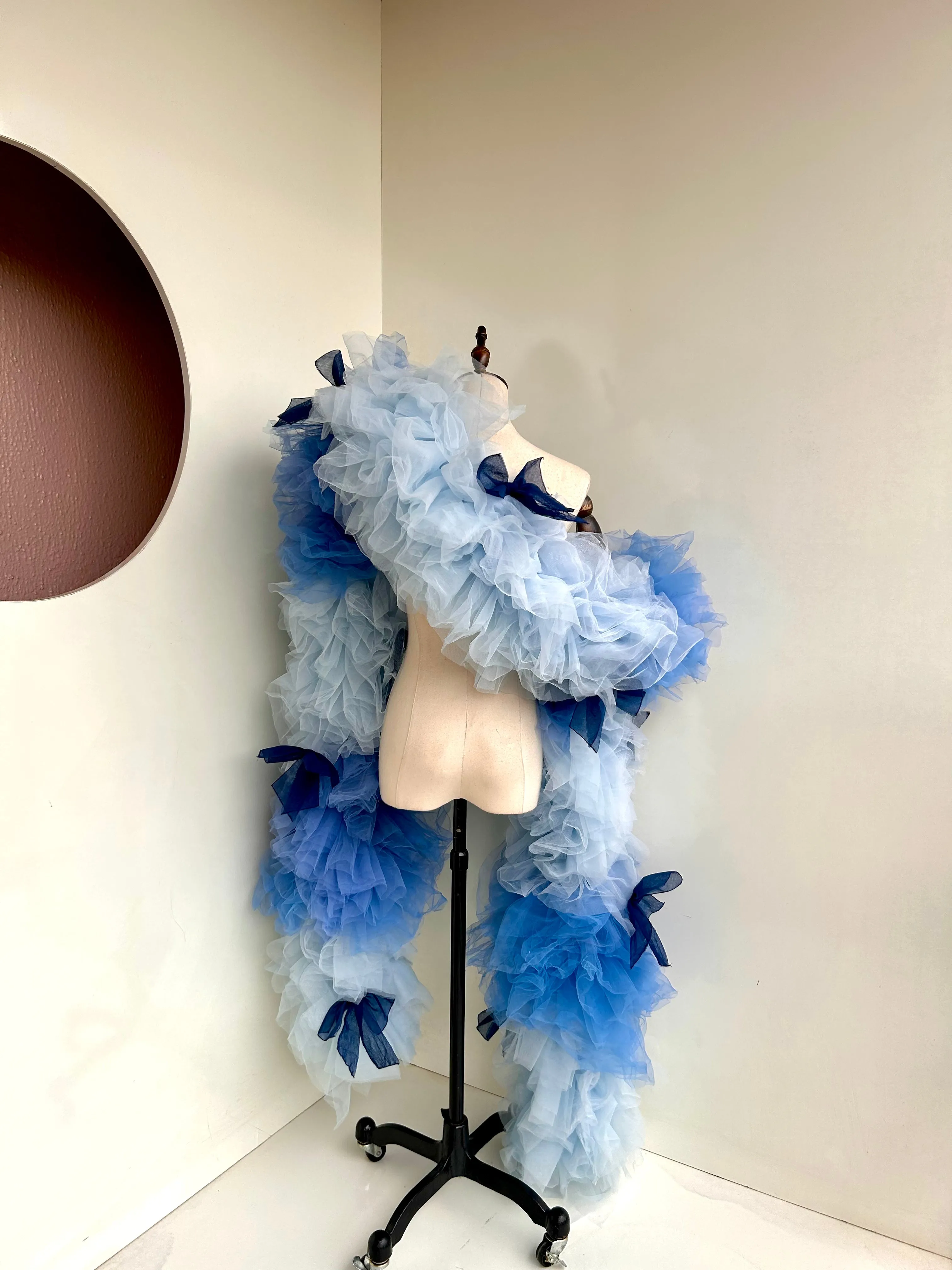 Swan Ballet Boa